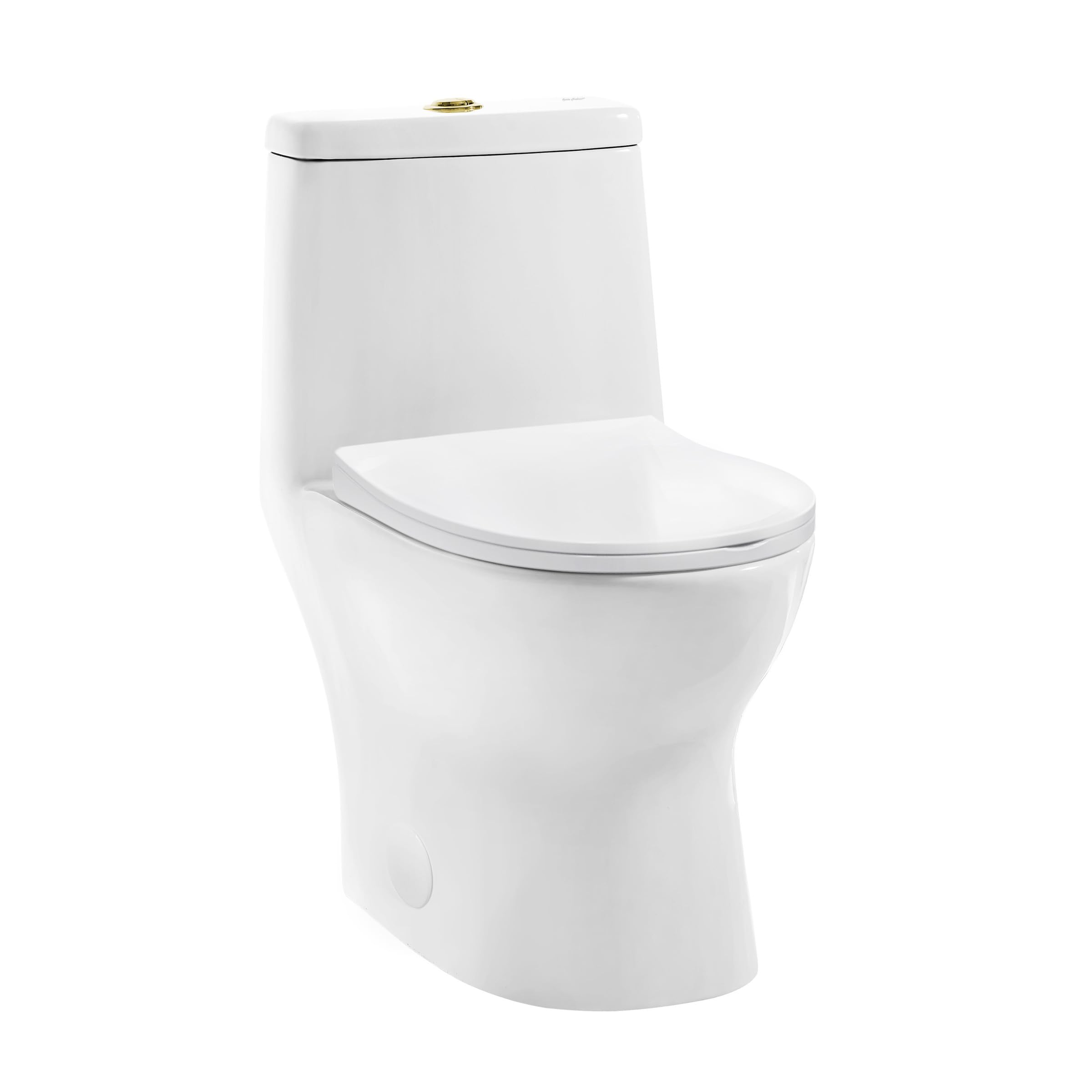Dieppe One Piece Toilet Dual Vortex™ Flush, Brushed Gold Hardware